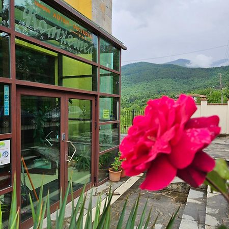 Family Hotel Komhotel เบอร์โควิทซา ภายนอก รูปภาพ